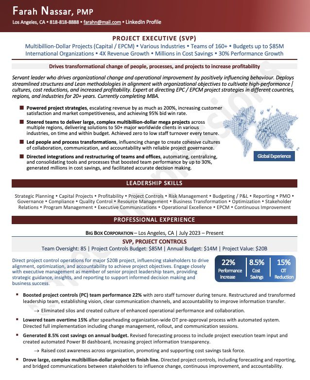 Project Executive Resume Sample